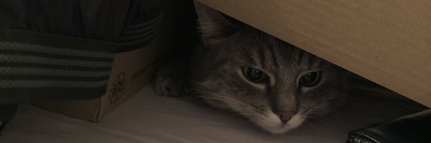 laya_smin's profile banner image
