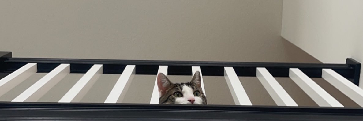 ii_timberlake's profile banner image