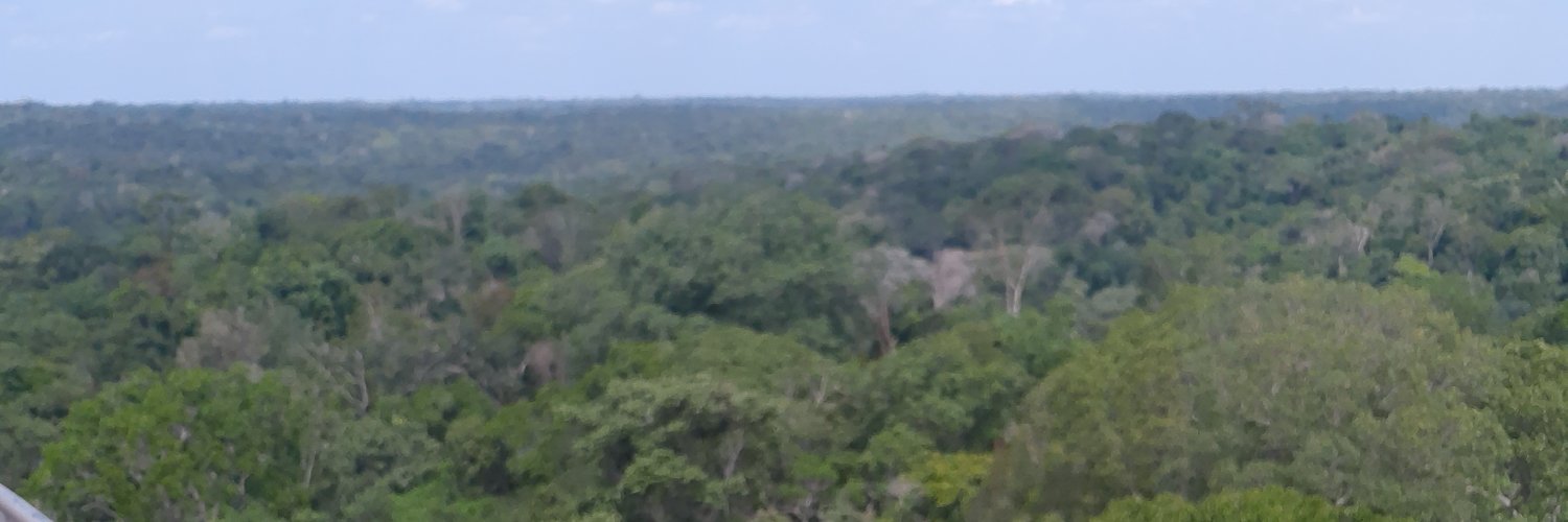 evilson's profile banner image