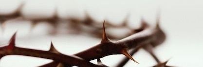 LLeossinho's profile banner image