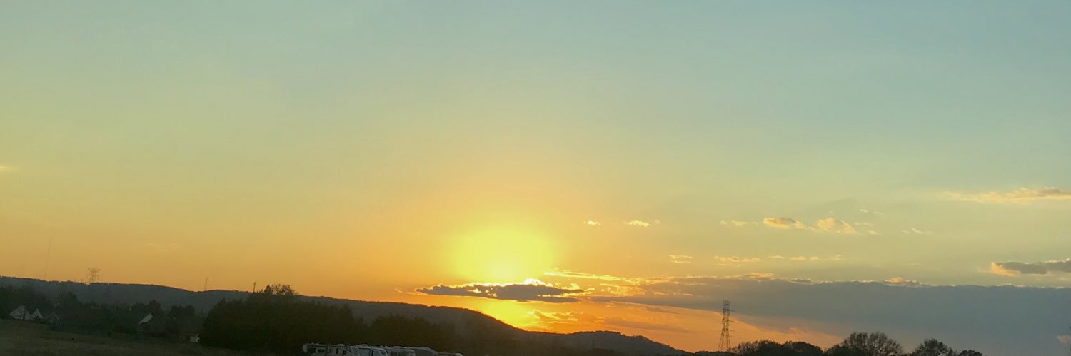 LilyStarks's profile banner image