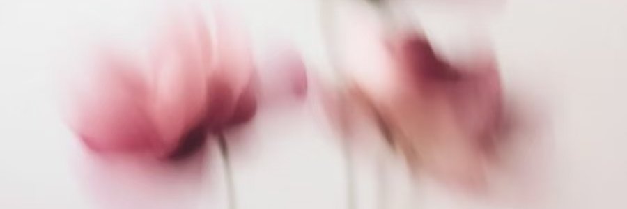 Lizzycarolina3's profile banner image