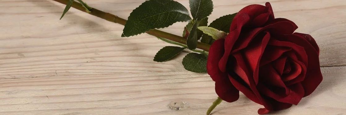 amillanc2's profile banner image