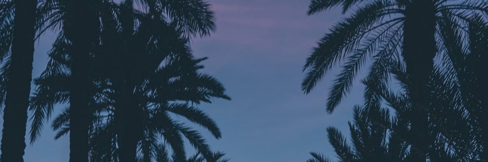 _aronan's profile banner image