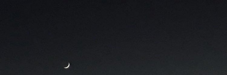 thenightshades's profile banner image