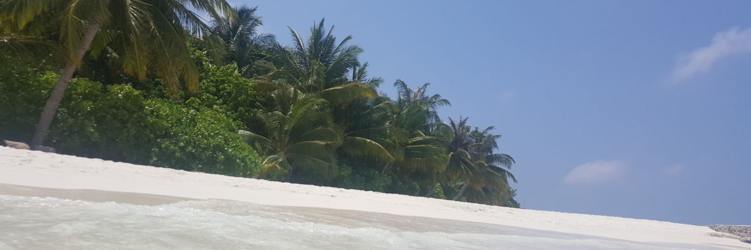 Filiptwit's profile banner image