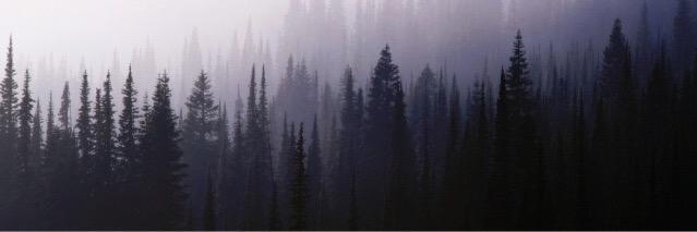Morganville banner