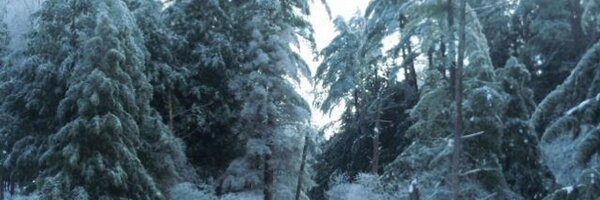 johnshaplin Profile Banner