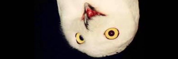 hjpimentel Profile Banner