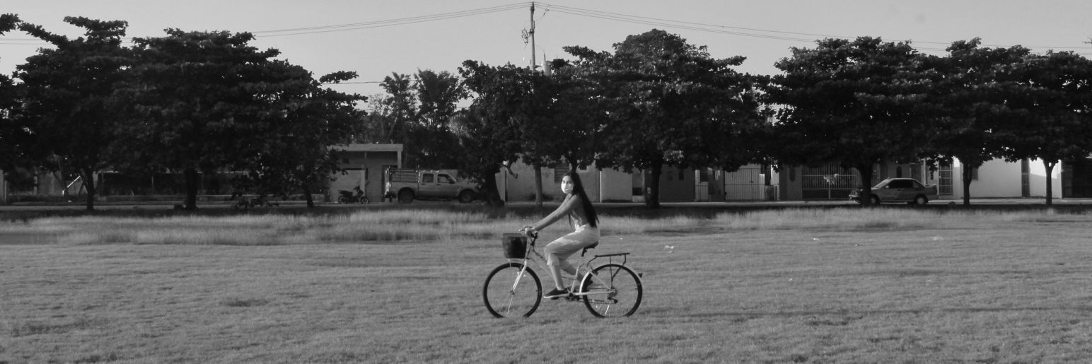 jenjbianchi's profile banner image