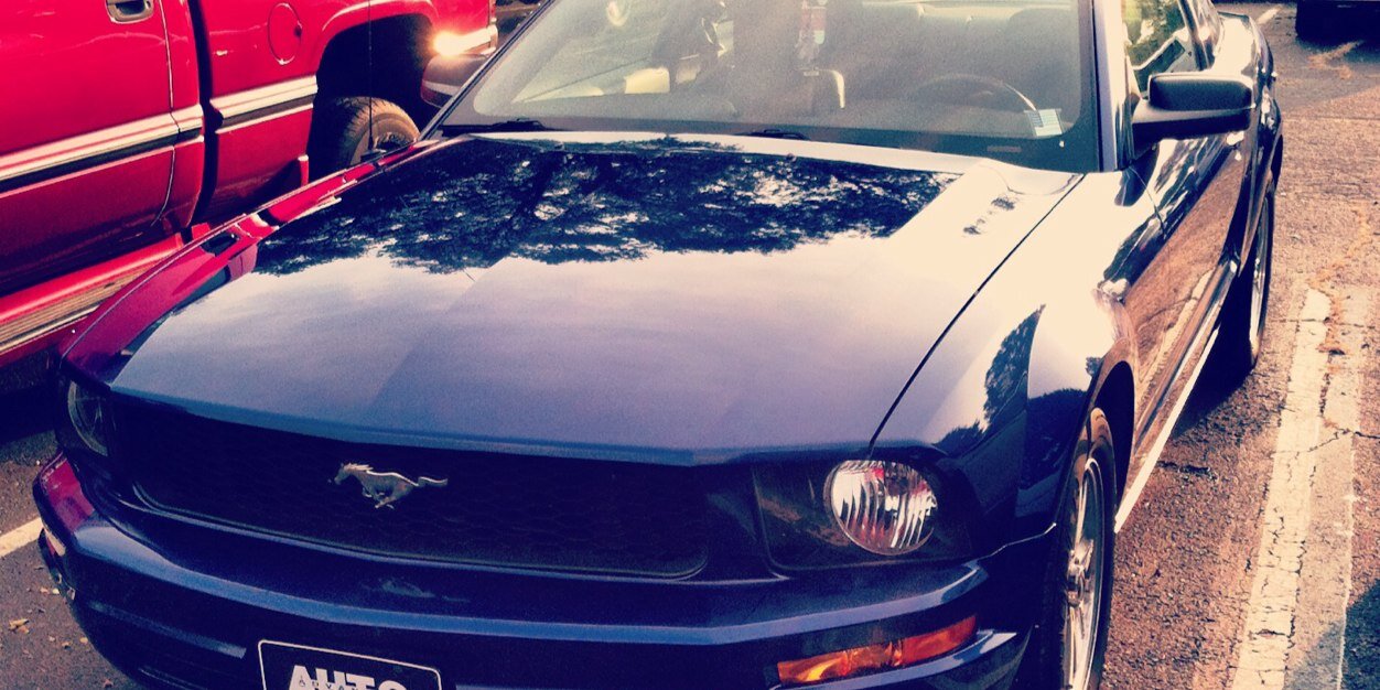 ᎢᎳᏫ ᏅᎳᏂᎩᏓ banner