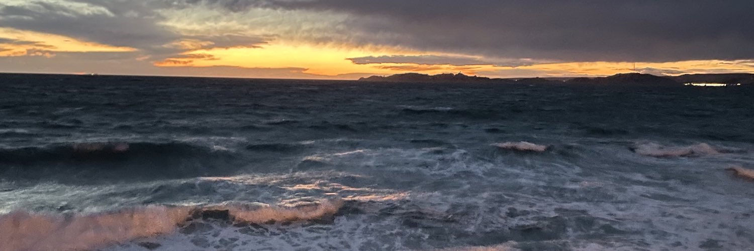 talaamnd's profile banner image