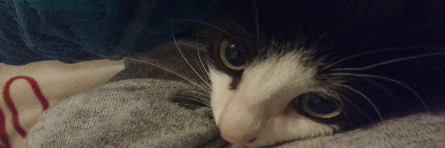 AgusMMorel's profile banner image