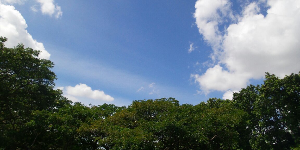 moomoozbari's profile banner image