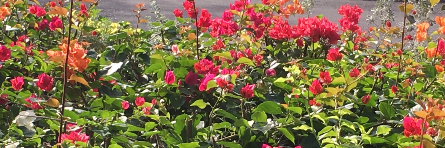 BridgetDay48's profile banner image