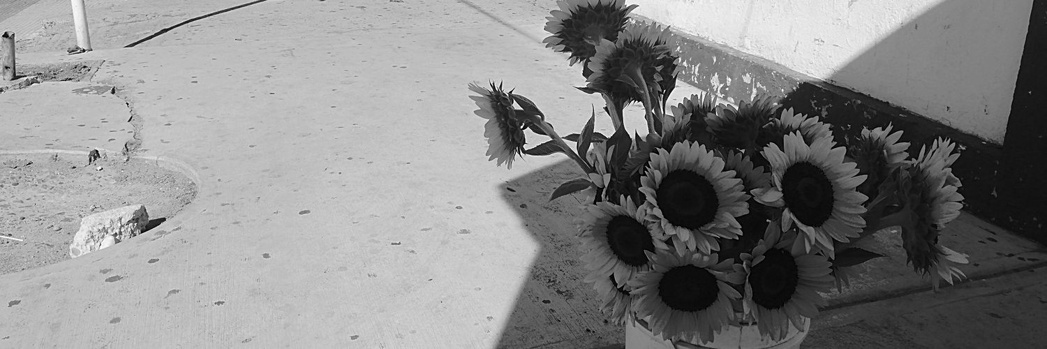 SuspiroVazquez's profile banner image