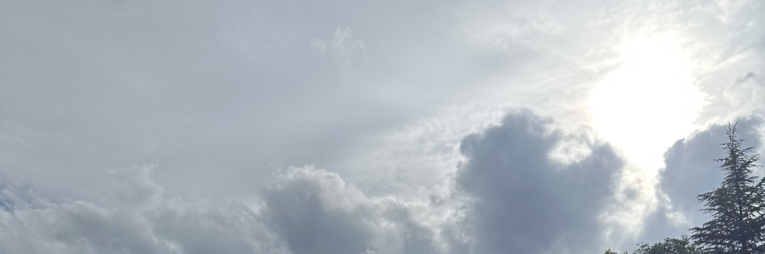 mraloxryin's profile banner image