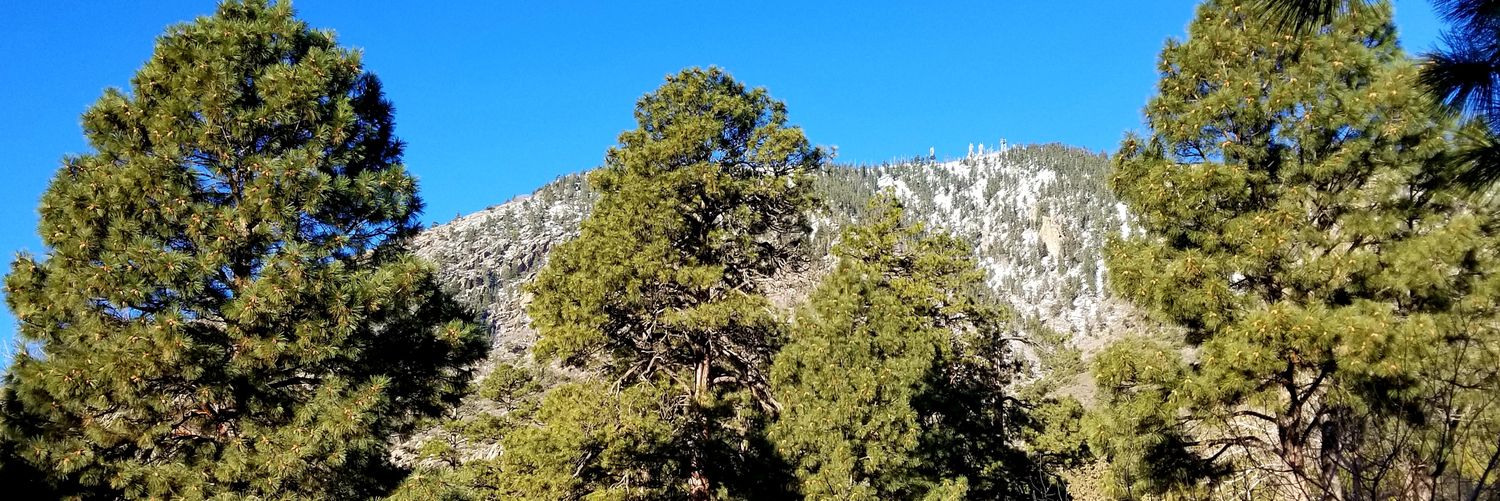 jdiddy413's profile banner image