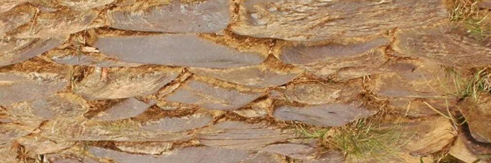 23ALZAT's profile banner image
