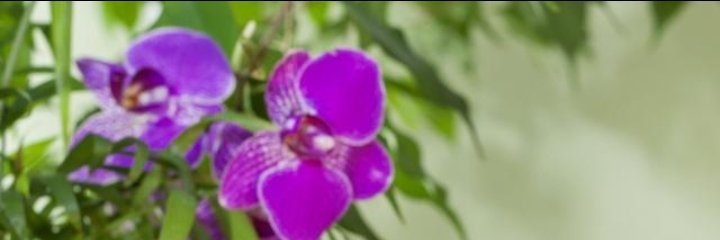 classerobes's profile banner image