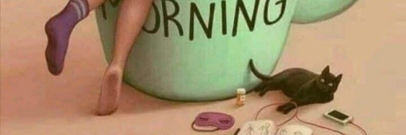 Dieuwer de Lange banner