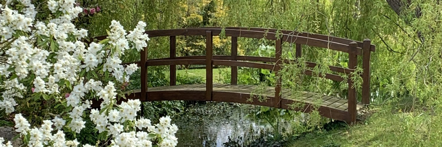 Katherine Crowe banner