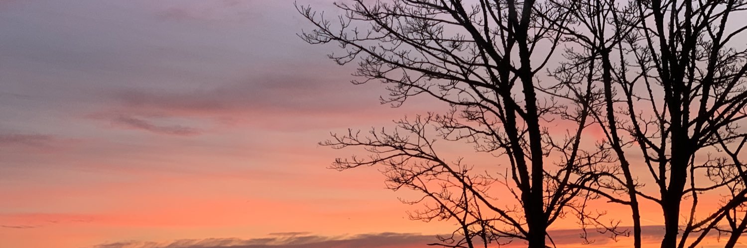asoogak's profile banner image