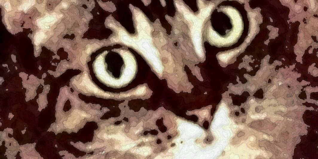 lisau0815's profile banner image