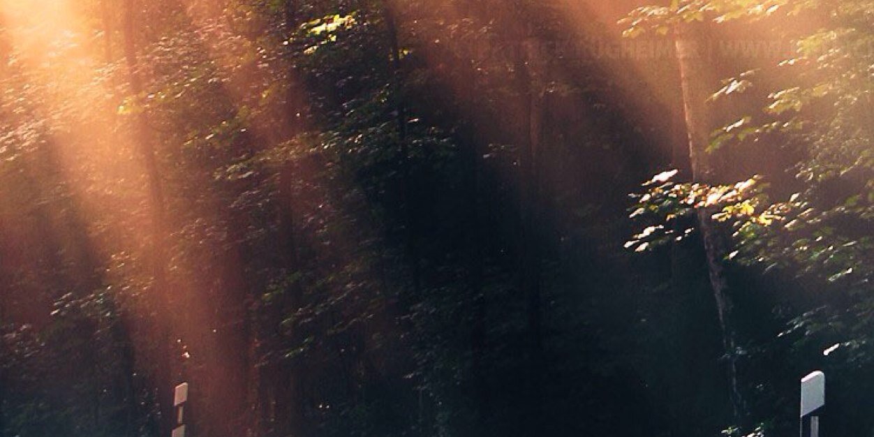 gloc36's profile banner image