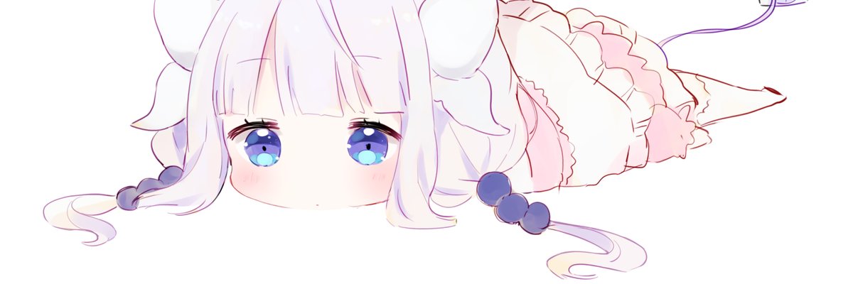 Flakbus banner