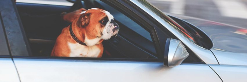 Save Me banner