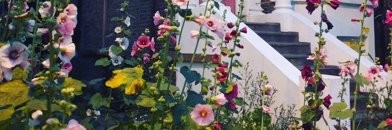 Georgina Parnell 🐾 banner