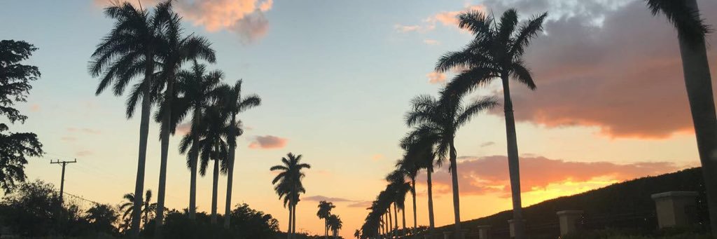 melgal13's profile banner image