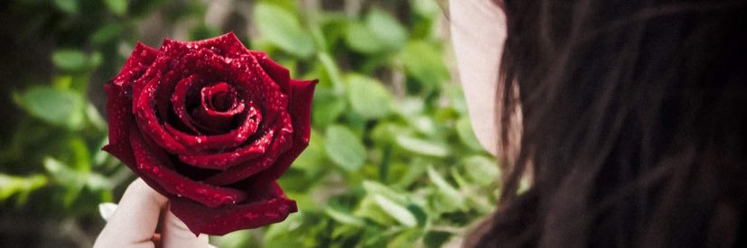 ToryWritesBooks's profile banner image