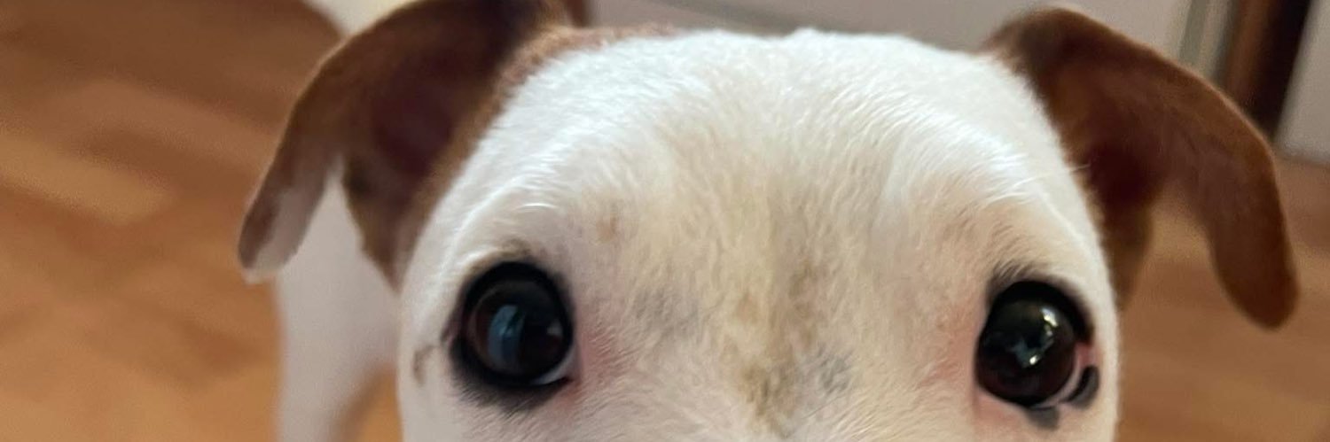 Kevin Bartlett MStJ (he/him) banner