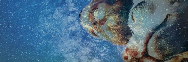 MattRyanW's profile banner image