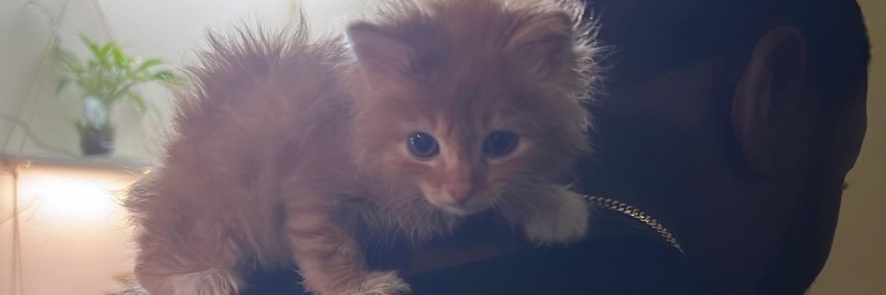 The Grand Quubah banner