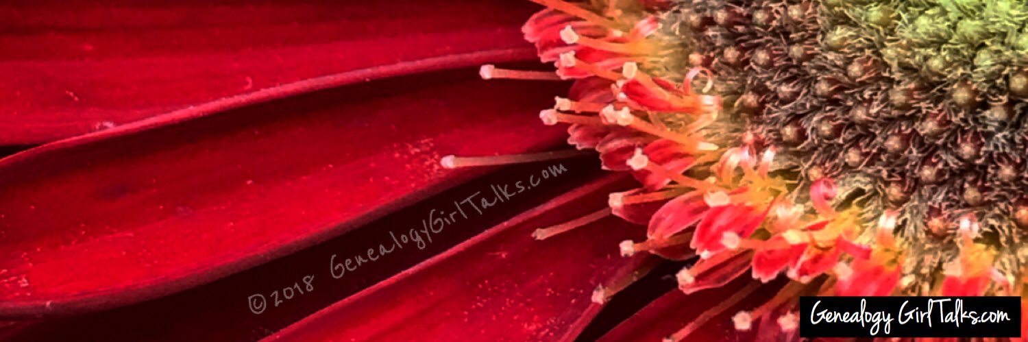 ggirltalks's profile banner image