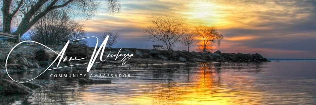 AMNicolazzo's profile banner image