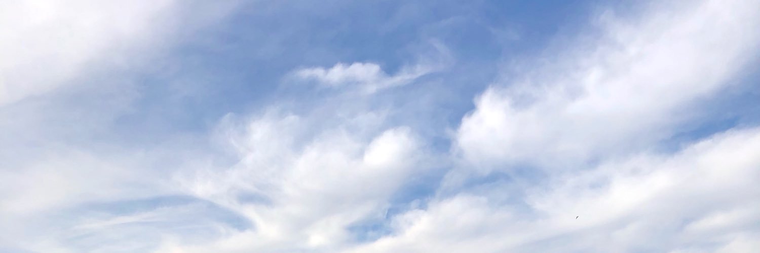 sheddsrc's profile banner image