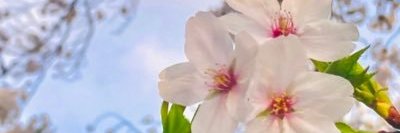 bcomley's profile banner image
