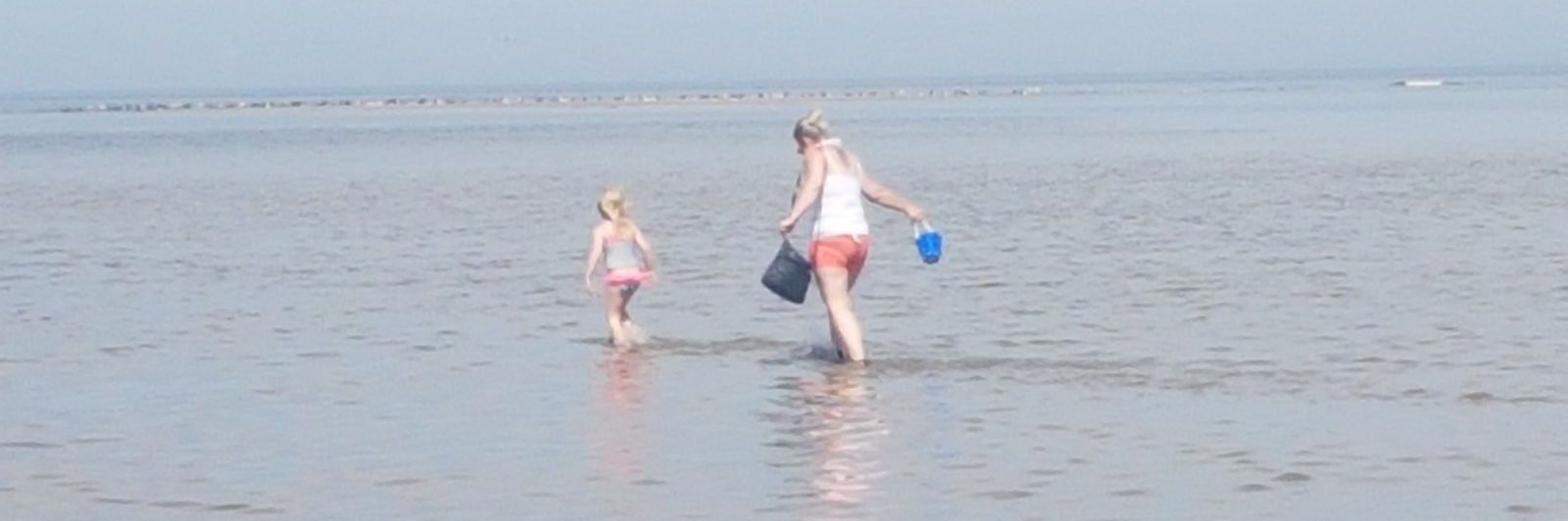 donna tizzard banner