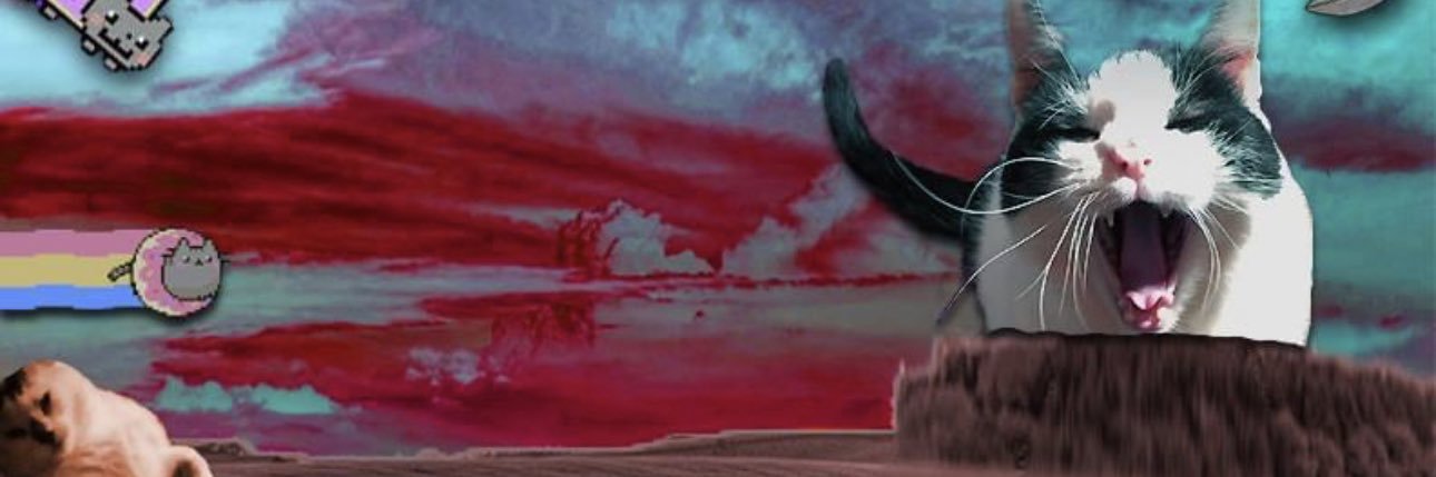 Cheebie's profile banner image