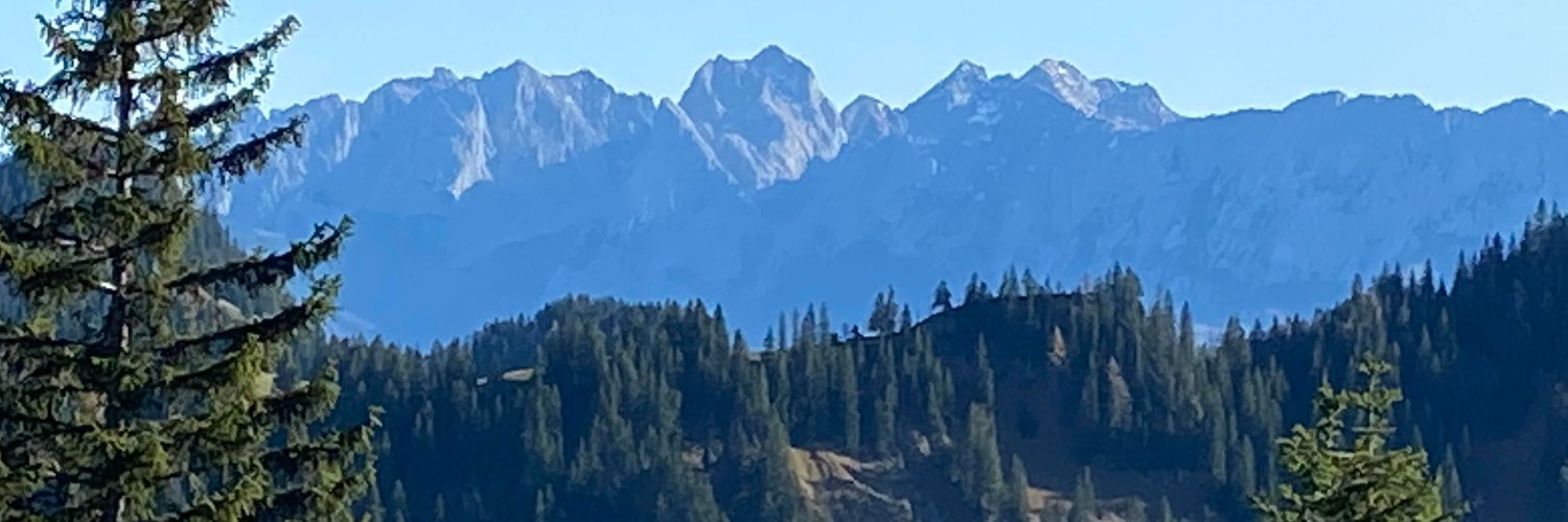 MainzAltstadt's profile banner image