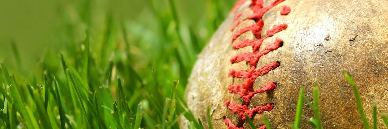 Baseball Almanac banner