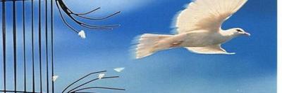 a_ariel0's profile banner image