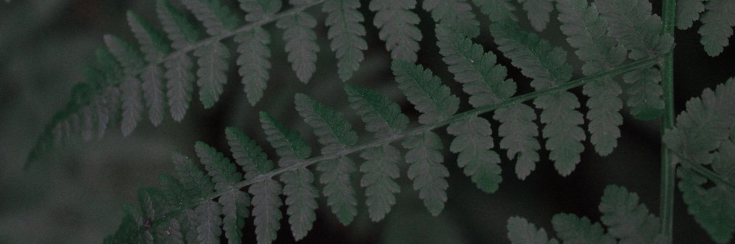LorynSmith_'s profile banner image