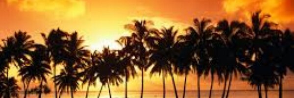 Elijah_5000 Profile Banner