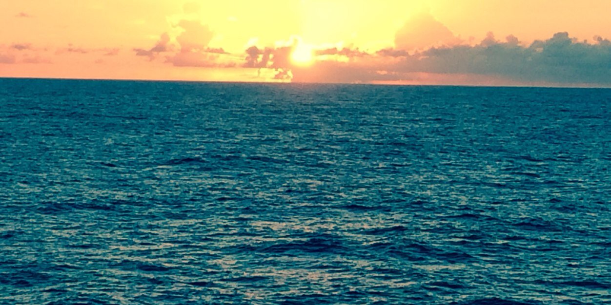 msravibal's profile banner image