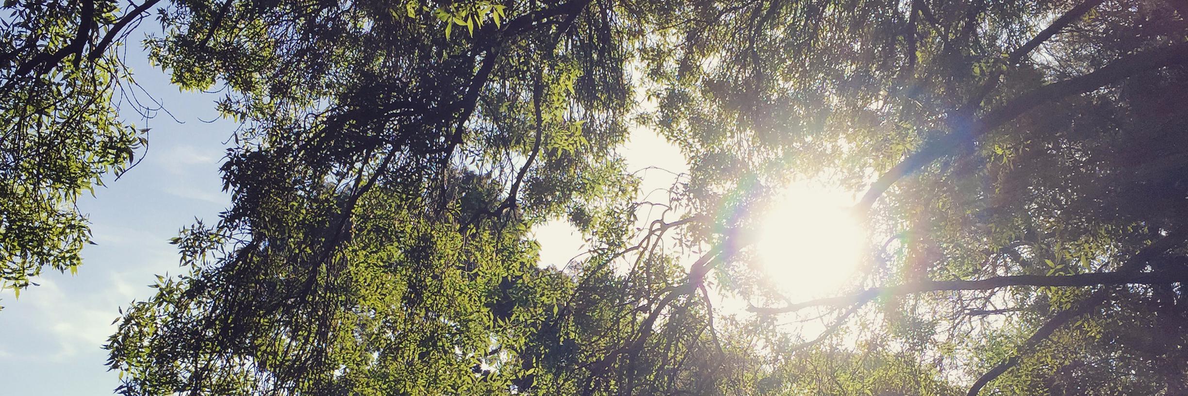 Jessica Craven banner